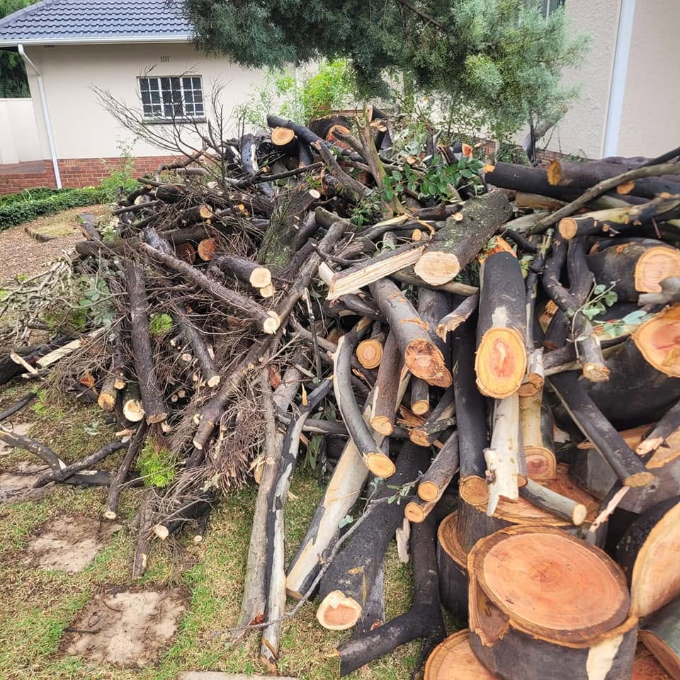 Cut branches ready for site clearance and removal